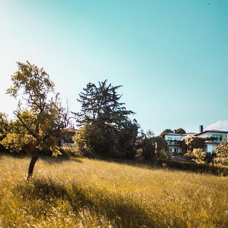 Bed & Breakfast Unter Den Linden Hungen Ngoại thất bức ảnh