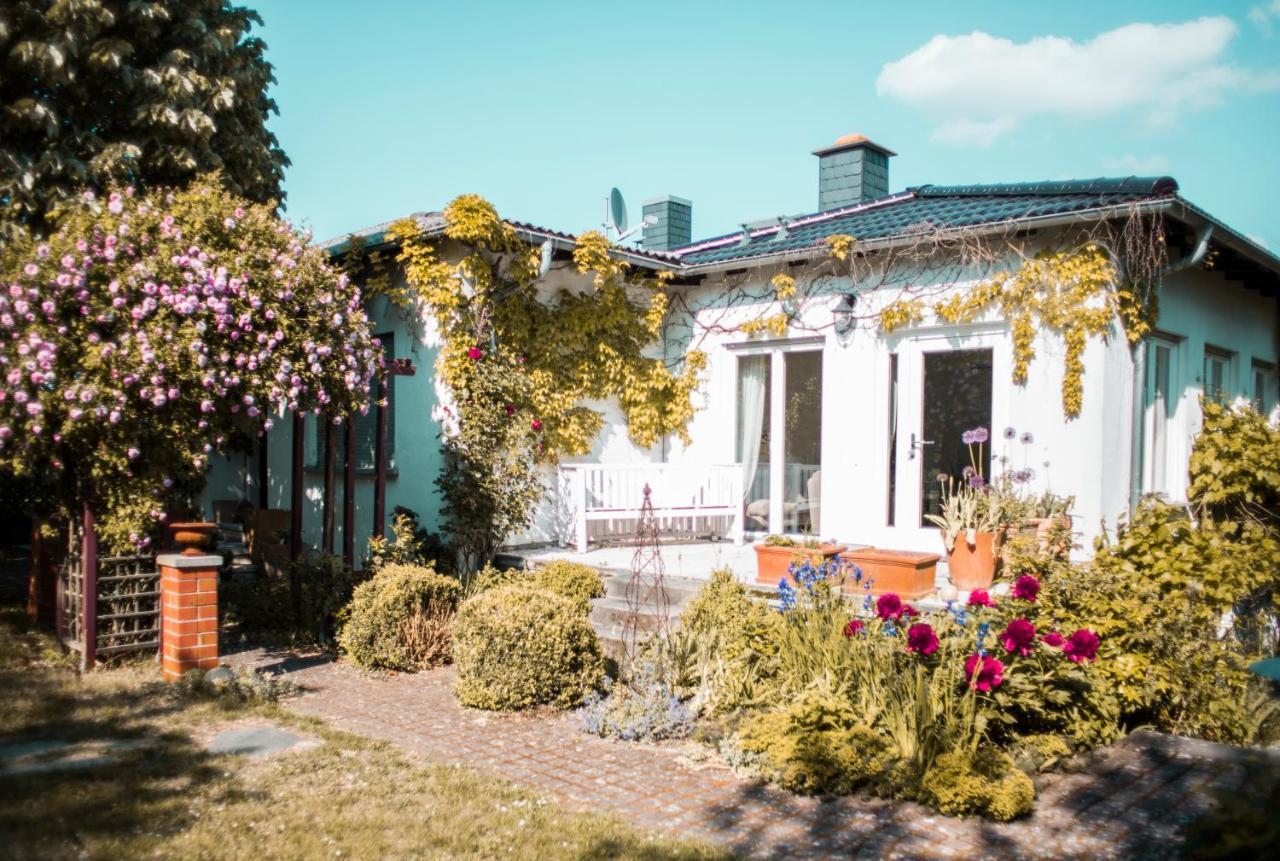 Bed & Breakfast Unter Den Linden Hungen Ngoại thất bức ảnh